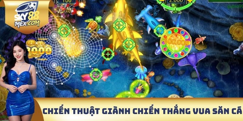 Chiến thuật giành chiến thắng khi tham gia vua săn cá