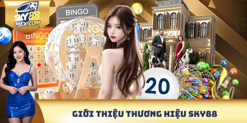 Giới thiệu SKY88 - Sơ lược về nền tảng